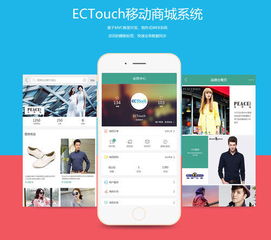 漂亮大气最新ecshop仿大朴网家居服饰商城系统源码 ectouch手机微信模板带微信通功能