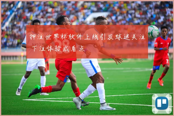押注世界杯软件上线引发球迷关注 下注体验成看点